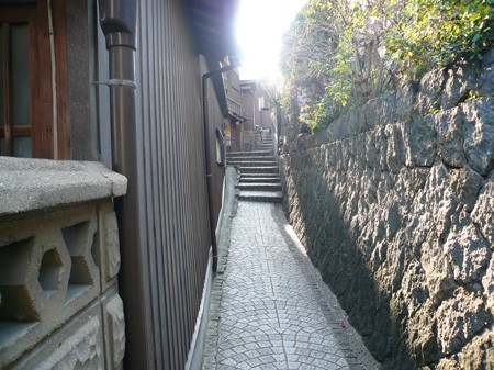P1000095.jpg